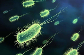 英国成立微生物组和传染病创新中心